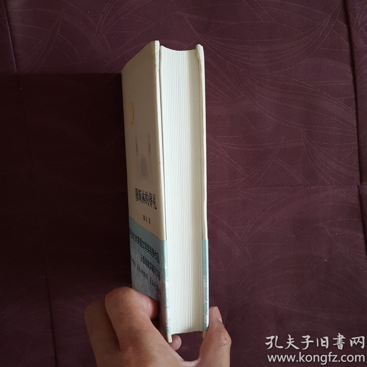 穆斯林的葬礼第一章概括
